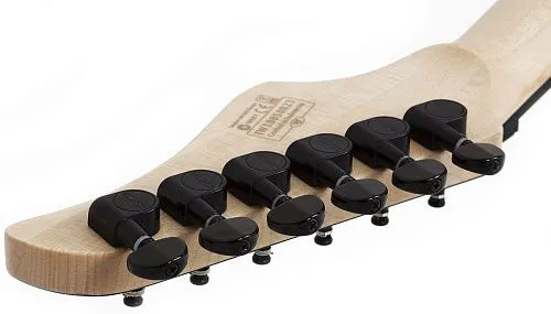 Schecter C-6 FR PRO ARB Электрогитара.